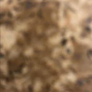 Meet your Posher, Ashlyn🐢